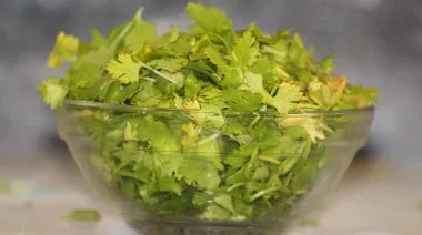 garnishing-instructions-image